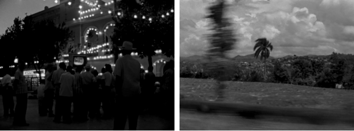 ArticleDoresteRodriguez Fig 7-8